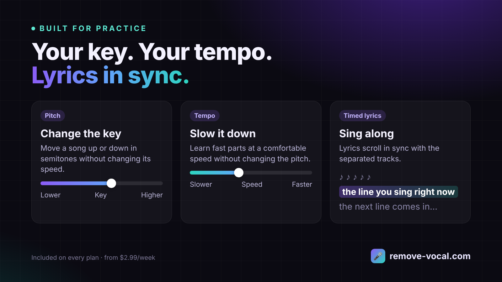 Pitch, tempo and timed lyrics controls